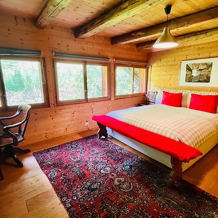 Aparthotel Mountain River Resort 瓦尔·蒂利兹 外观 照片